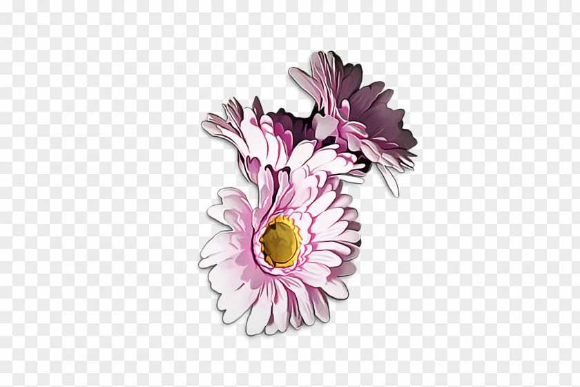Daisy Wildflower Flowers Background PNG