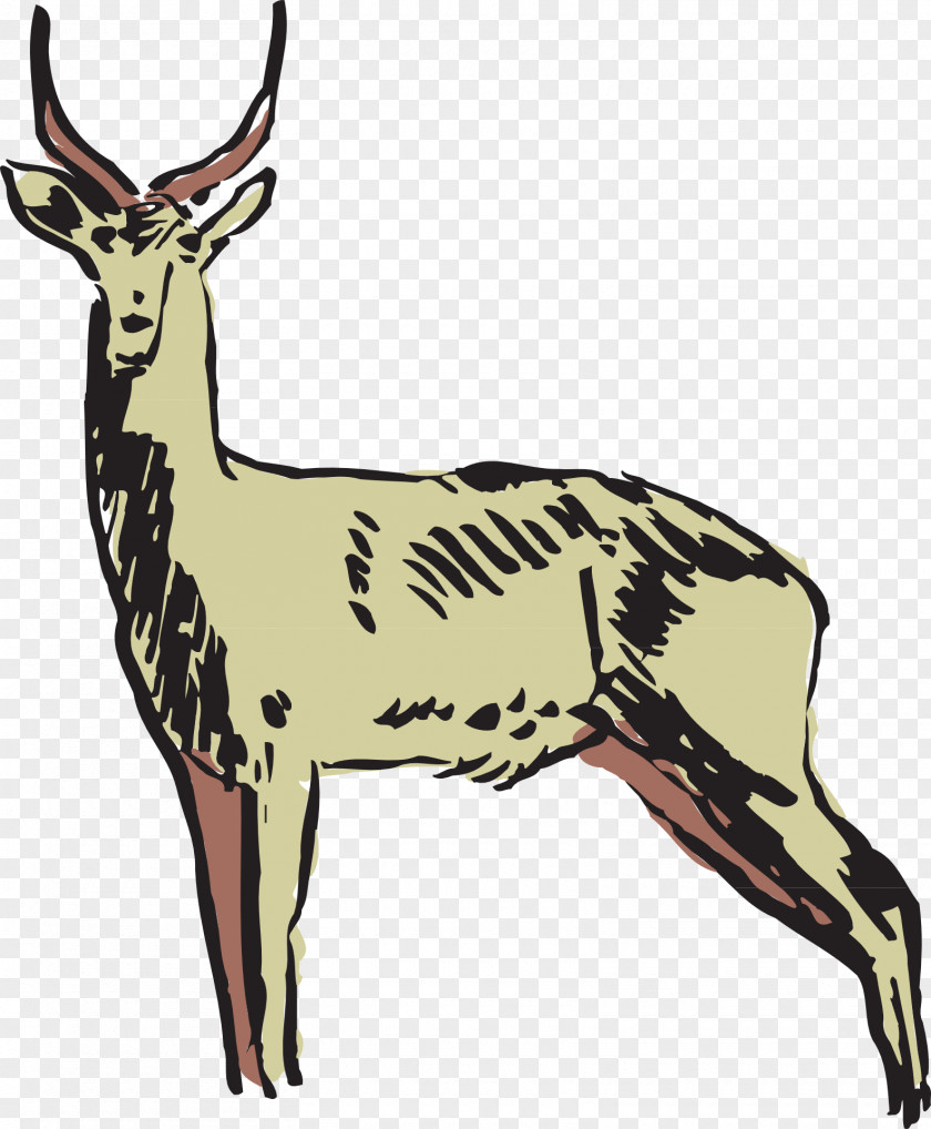 Gazelle Antelope Pronghorn Bison PNG