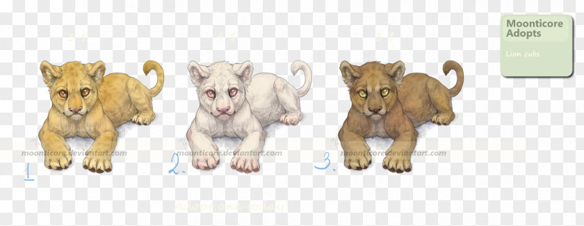 Lion Cub Dog Breed Cattle PNG