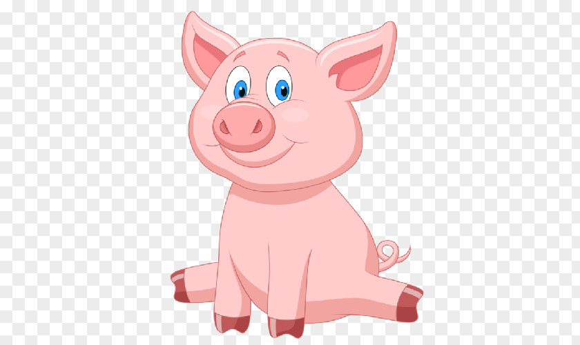 Pig Vector Graphics Stock Illustration Image PNG