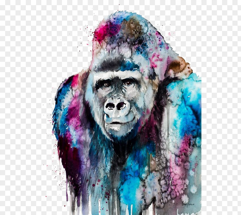 Watercolor Gorilla Western Lowland Painting Art Orangutan PNG