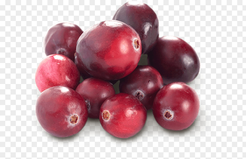 Cranberries Cranberry Juice Fruit Blueberry PNG