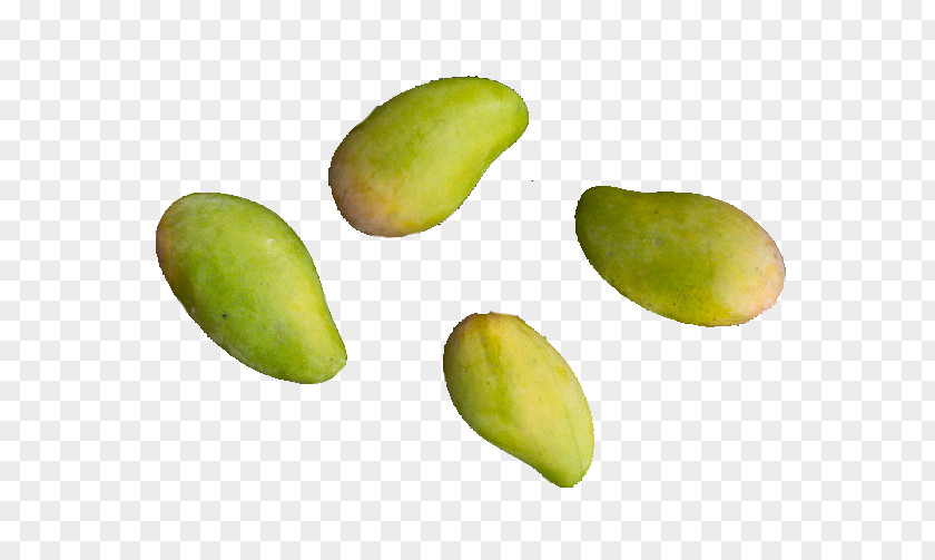 Mango Juice Avocado Mangifera Indica PNG