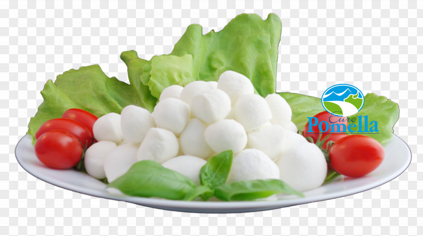 Milk Water Buffalo Mozzarella Pizza Vegetarian Cuisine PNG