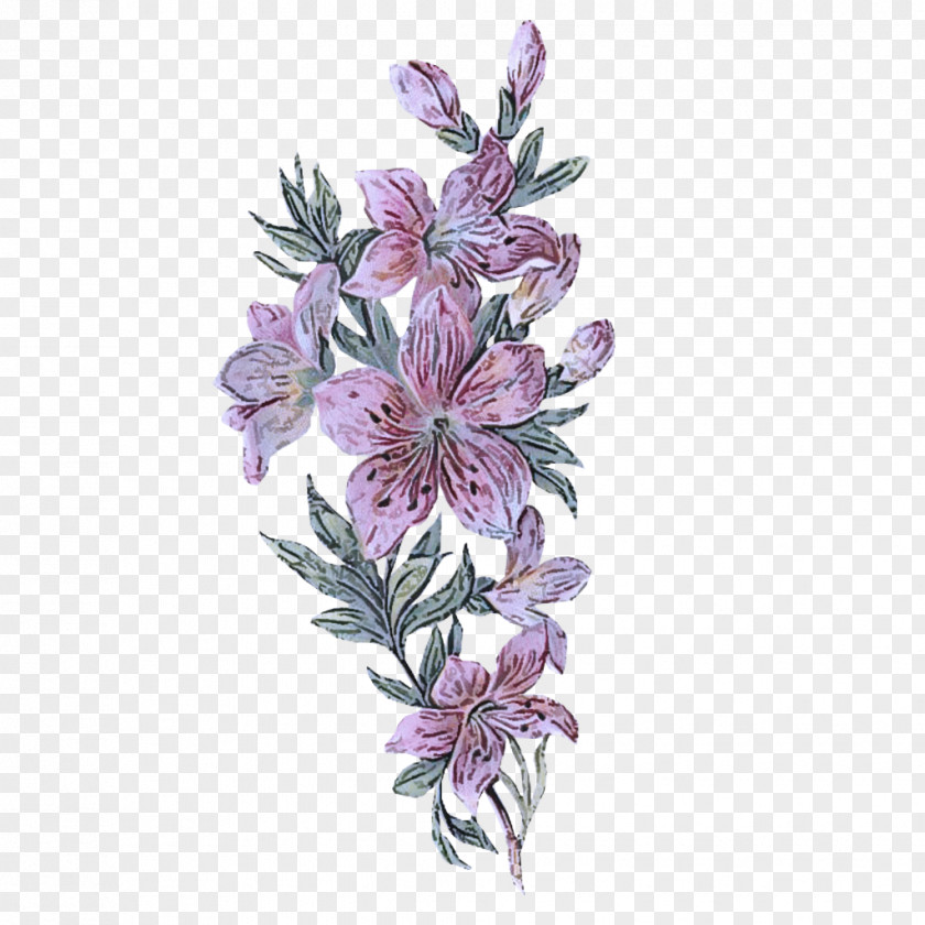 Perennial Plant Wildflower Flower Flowering Lilac Petal PNG
