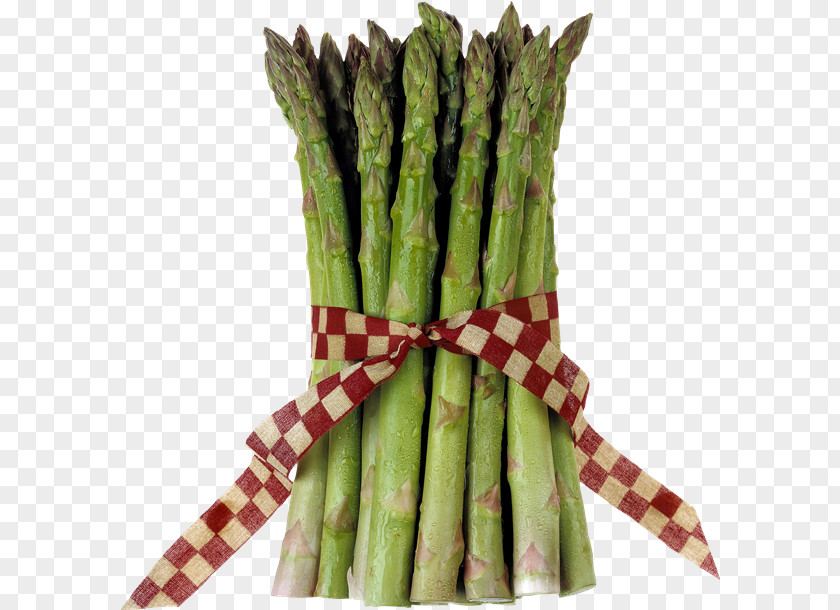 Vegetable Asparagus Health Folate Food PNG
