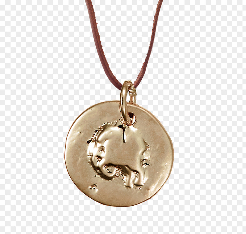 Drop Gold Coins Locket Necklace Silver PNG