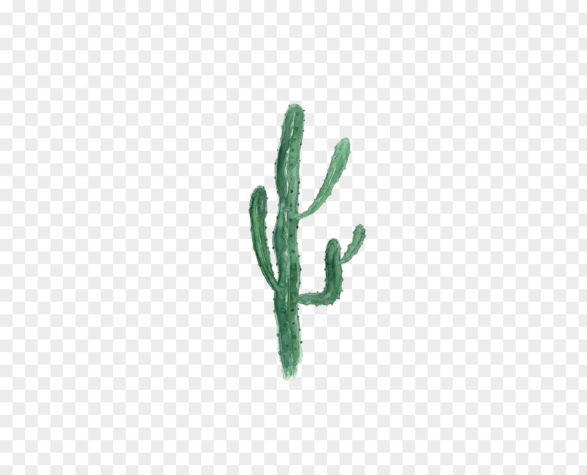 Green Cactus Cactaceae Opuntia Microdasys Painting #1 PNG