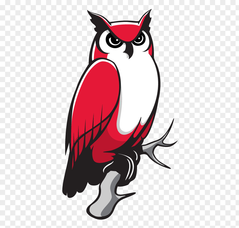 Owl Keene State College Kennesaw University Clip Art PNG