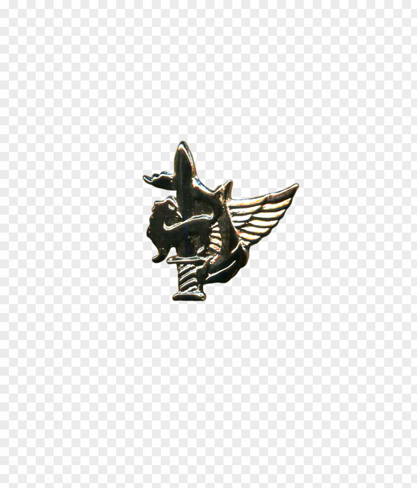 Warior Givati Brigade Badge Sabra Israeli Special Forces Units Metal PNG