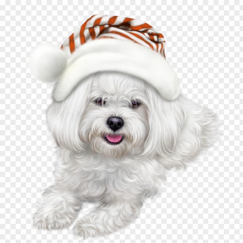 2018 Dog 0 Clip Art PNG