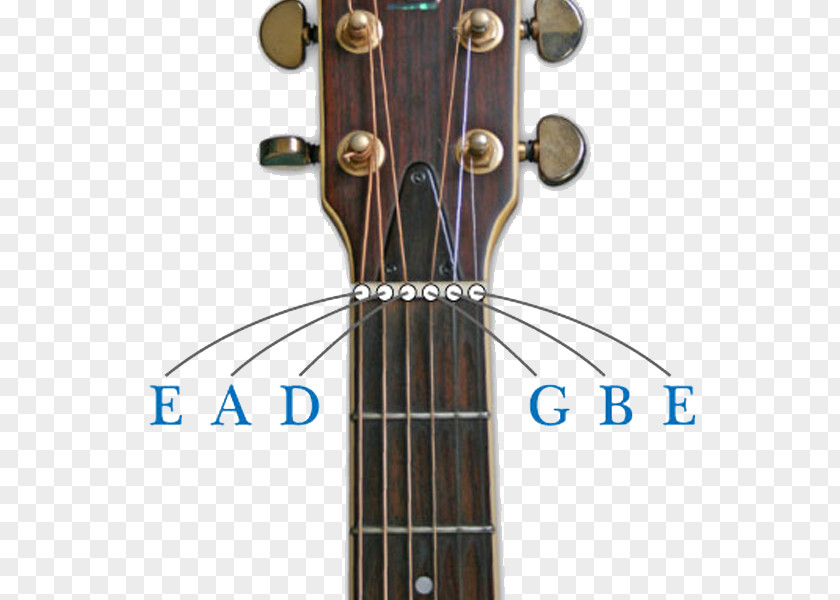 Acoustic Guitar Ukulele Bass Tiple Chord PNG