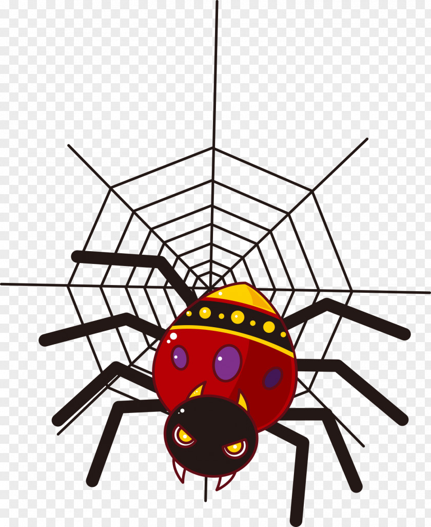 Cartoon Spider Drawing PNG
