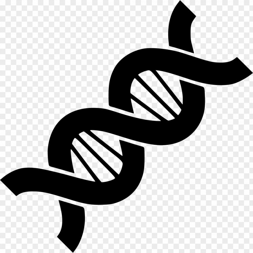 DNA Genetics PNG