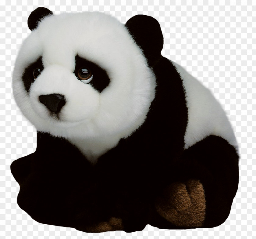 Giant Panda Red Vecteur PNG