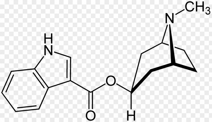 Tropisetron Nootropic Pharmaceutical Drug Methylhexanamine PNG
