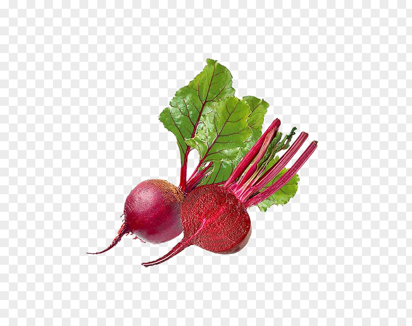 Beetroot Vegetable Beetroots Vegetarian Cuisine Organic Food PNG