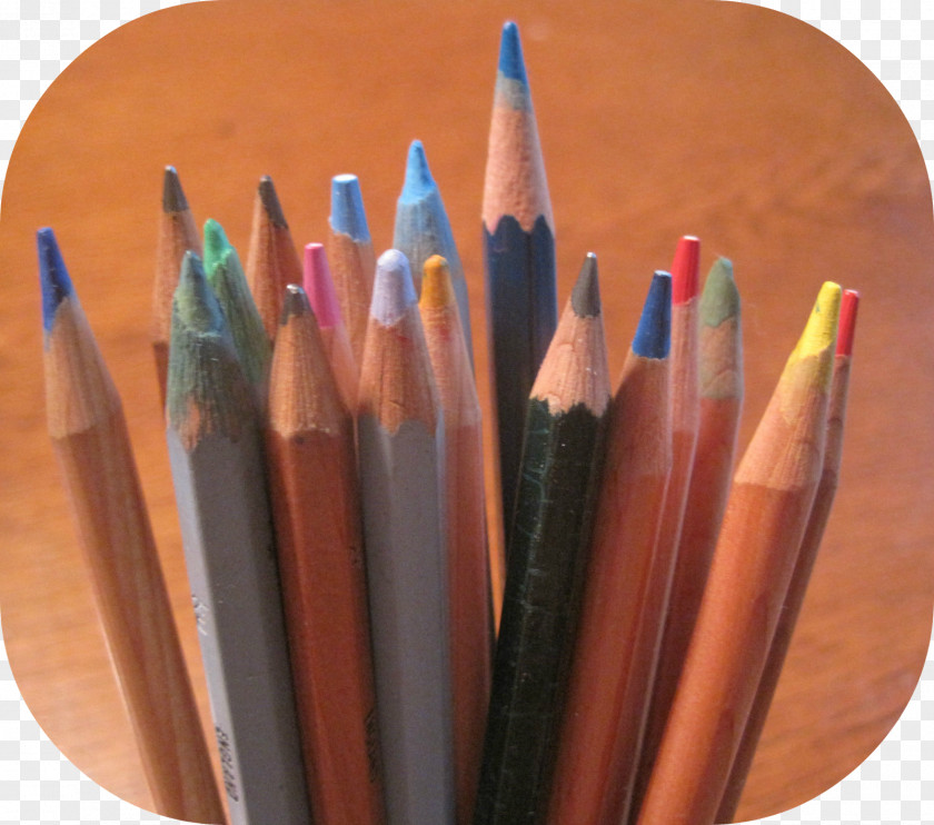 Colored Pencils Writing Implement Pencil Office Supplies PNG