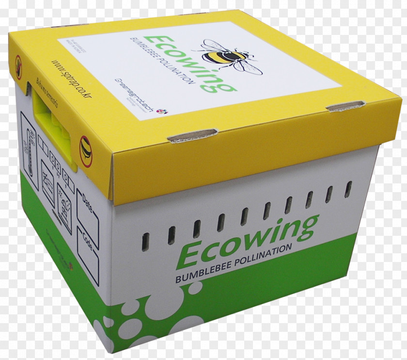 Design Carton PNG