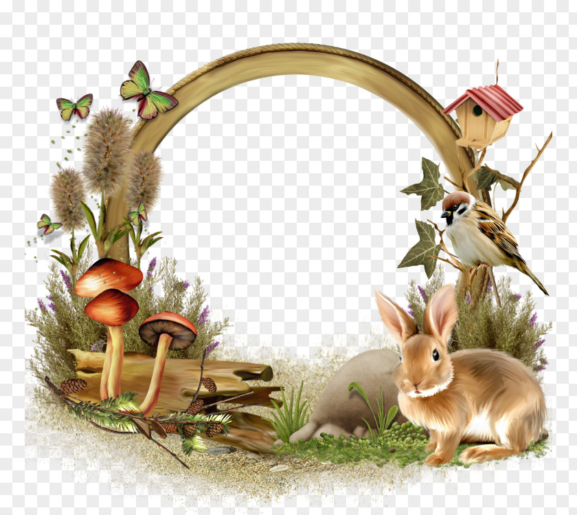 Printing And Writing Paper Domestic Rabbit Material Clip Art PNG