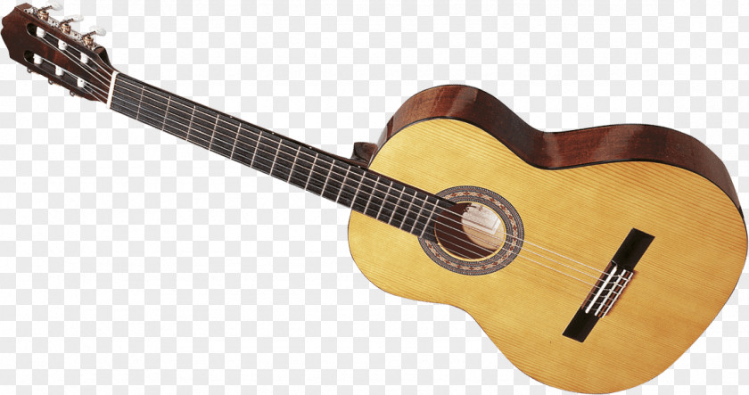 Acoustic Guitar Tiple Cavaquinho Cuatro Acoustic-electric PNG
