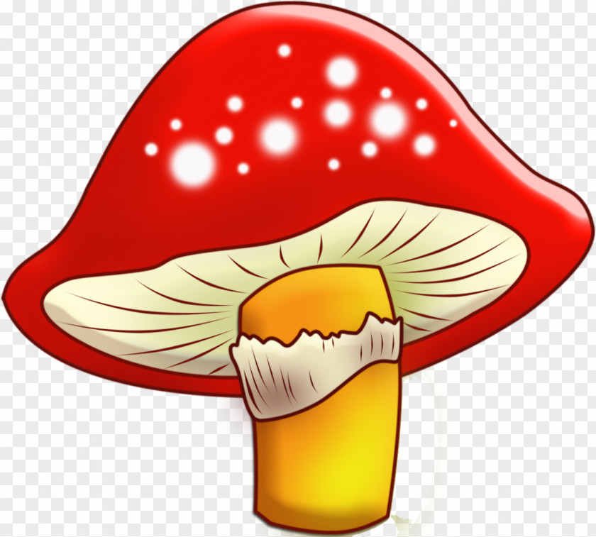 Edible Mushroom Clip Art Drawing Illustration PNG