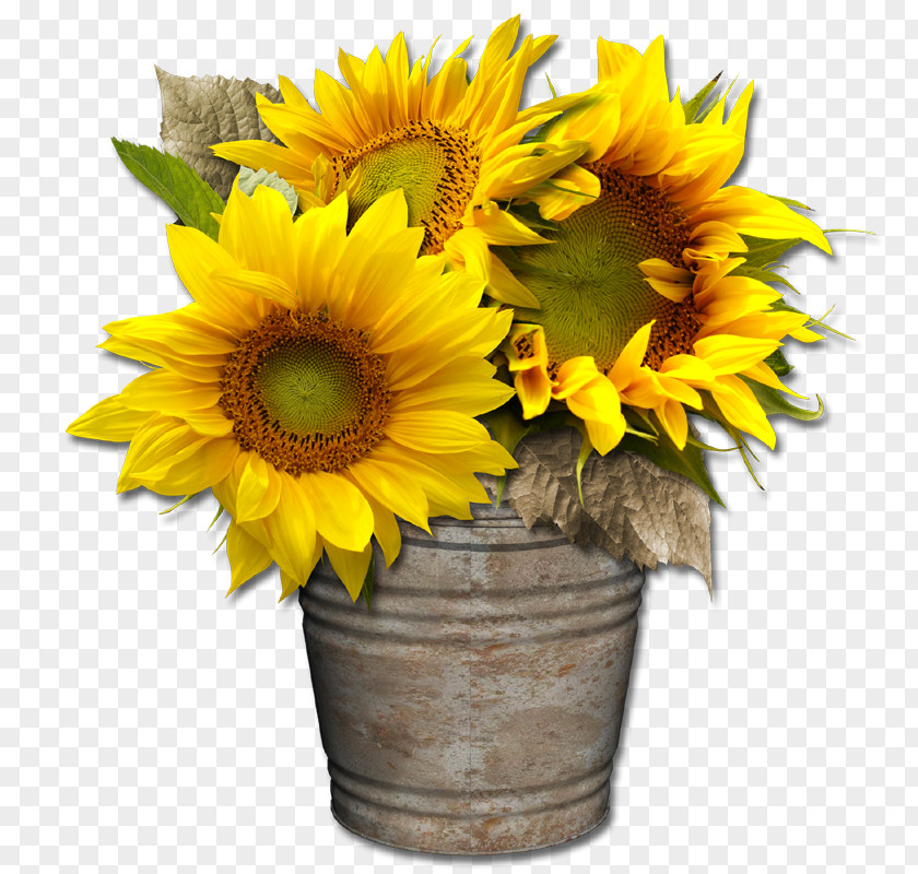 Exclusive Elements Digital Scrapbooking Common Sunflower Cut Flowers PNG