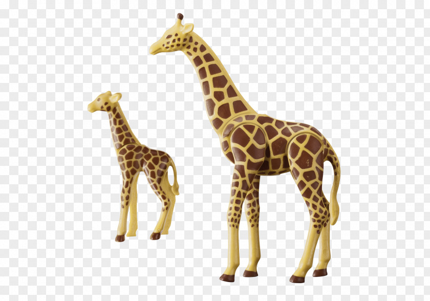 Giraffe Calf Northern Playmobil Child Zoo PNG
