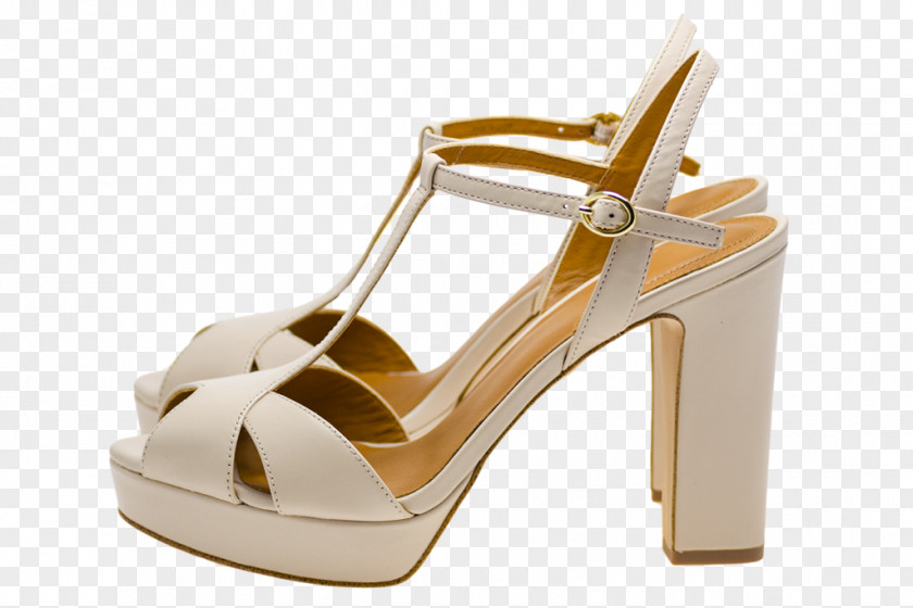 Sandal Product Design Shoe PNG