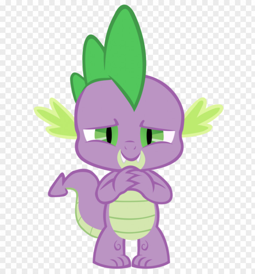 Spike Twilight Sparkle Pinkie Pie Rarity Rainbow Dash PNG