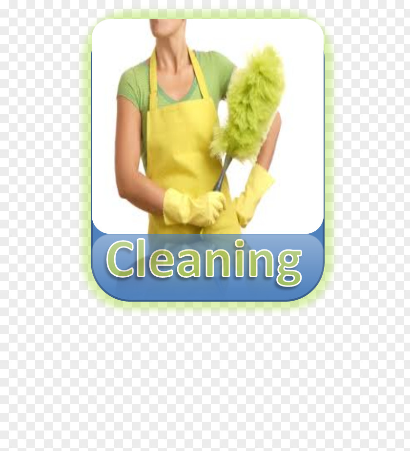 Woman Cleaning Female Font PNG
