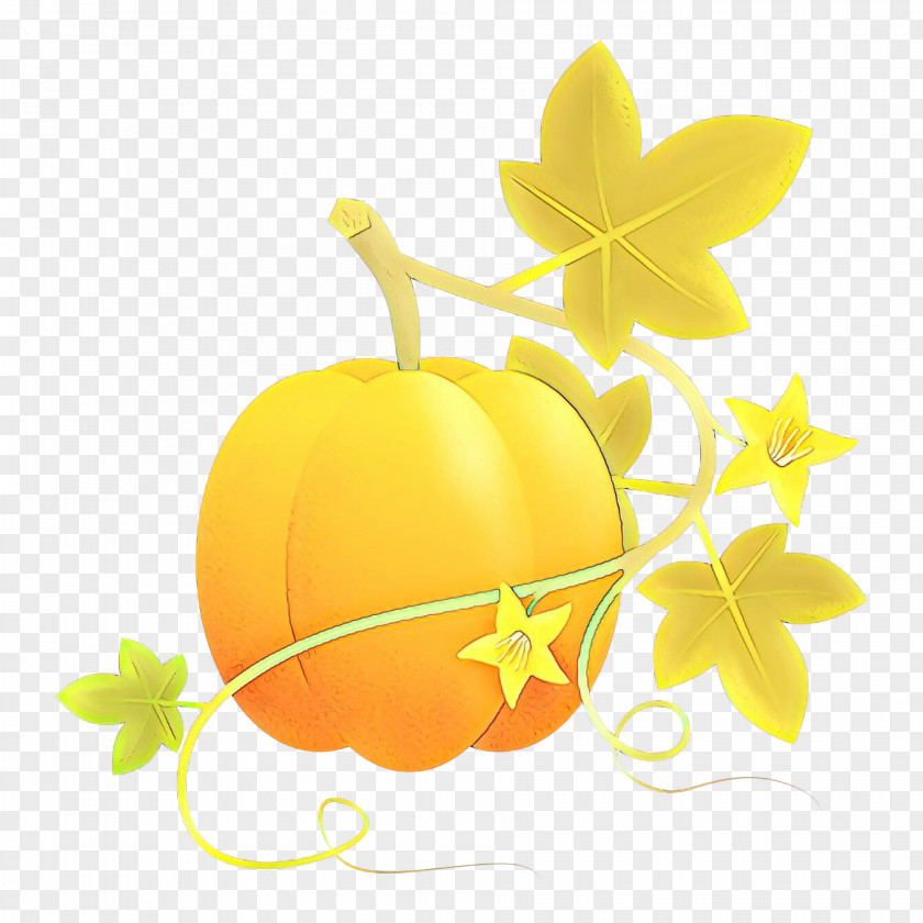 Yellow Leaf Plant Fruit PNG
