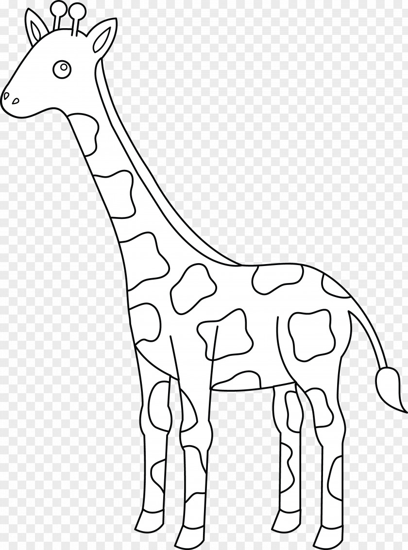 Animal Head Outline Giraff Giraffe Drawing Black And White Clip Art PNG