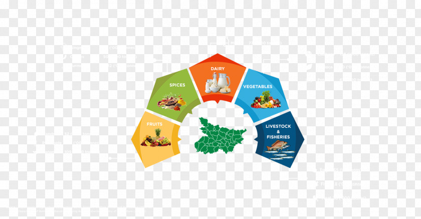Business Maharashtra Food Processing Indian Cuisine Agriculture Papadum PNG