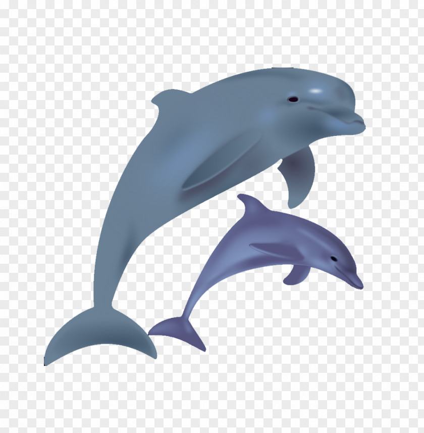 Cartoon Dolphins Jump Bottlenose Dolphin Clip Art PNG