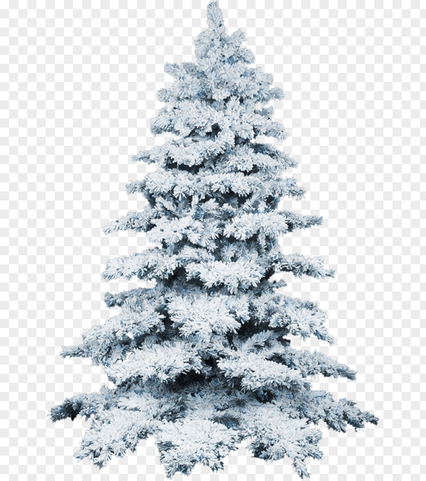 Christmas Tree Snow Wallpaper PNG