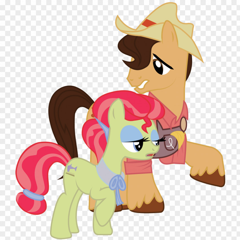 Family Applejack Pony Twilight Sparkle Rarity Rainbow Dash PNG