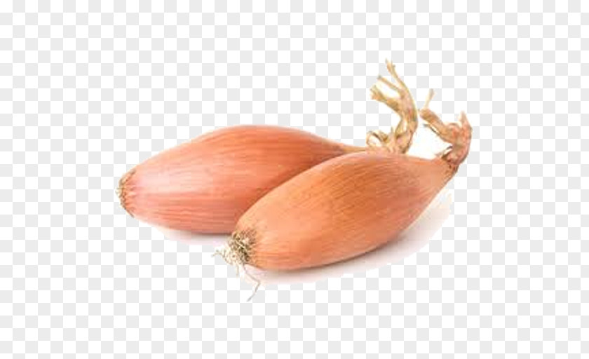 Root Vegetable Pearl Onion Vegetables Cartoon PNG