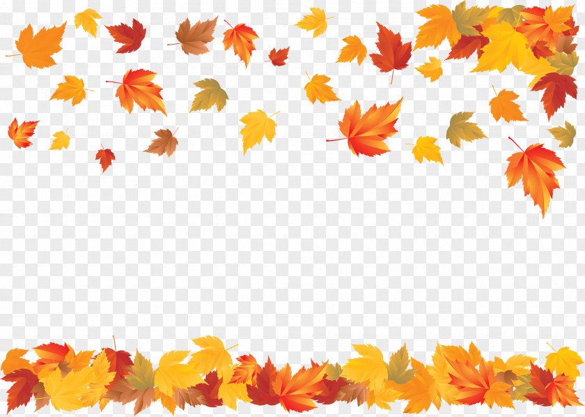 Zongzi Feuilles Clip Art Vector Graphics Thanksgiving Transparency PNG