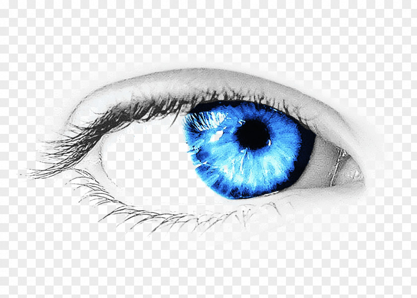 Eye Transparent Image Color Clip Art PNG