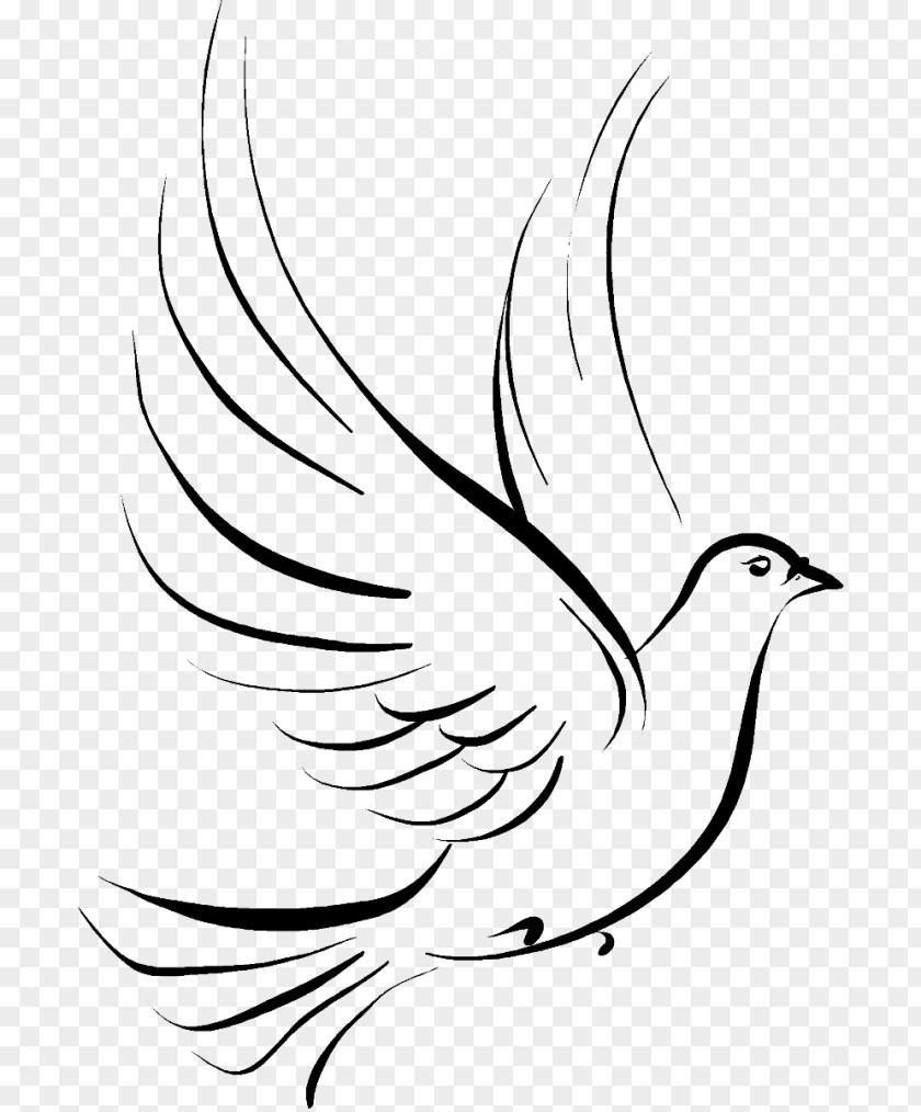 Holy Spirit Columbidae Tattoo Drawing Design Inked Body Piercing PNG