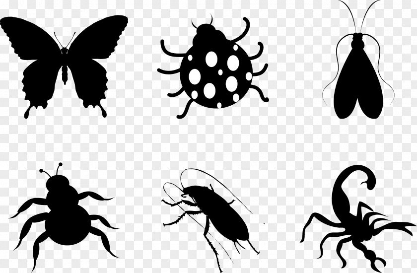 Insect Silhouettes Butterfly Silhouette Clip Art PNG