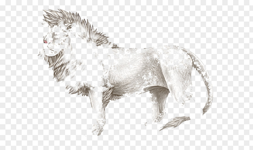 Lion Dog Cat Canidae Terrestrial Animal PNG