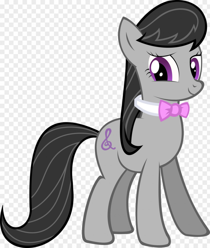Melody Rainbow Dash Twilight Sparkle Pony PNG