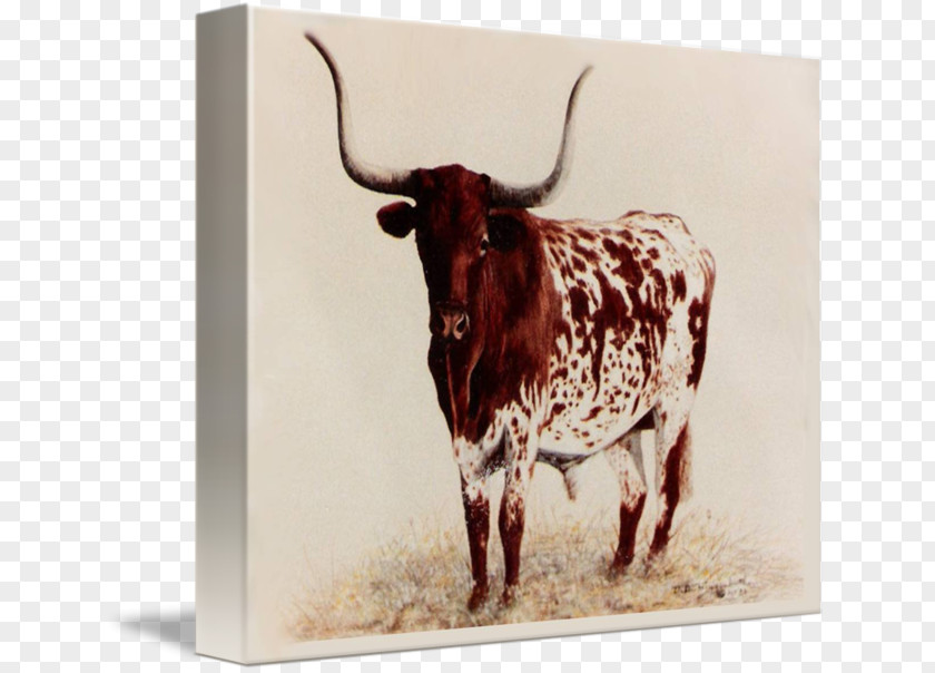 Painting Texas Longhorn Oil Art Canvas PNG