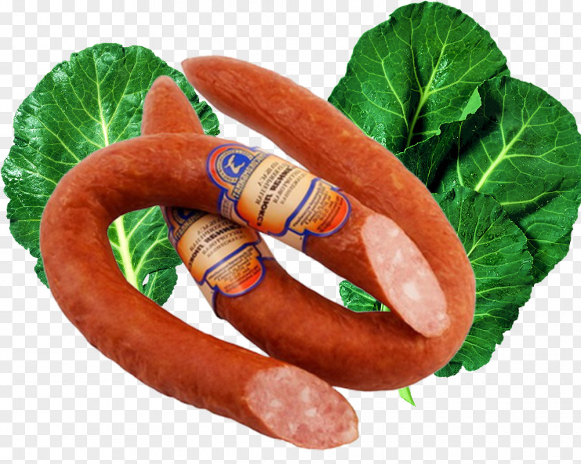 Bacon Sausage Material Thuringian Bratwurst Knackwurst Bockwurst PNG