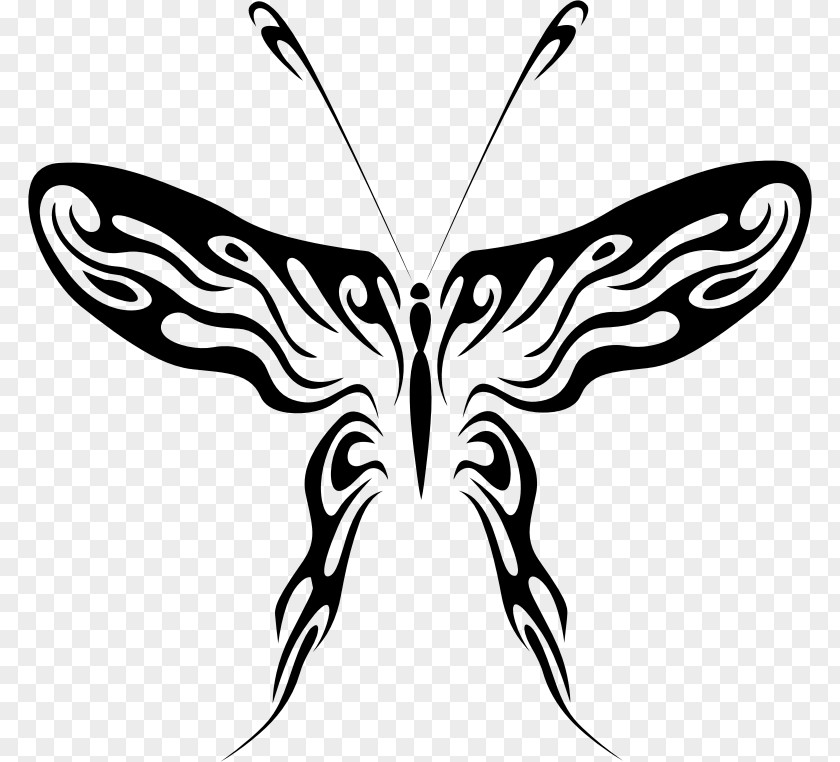Butterfly Stencil Art Clip PNG