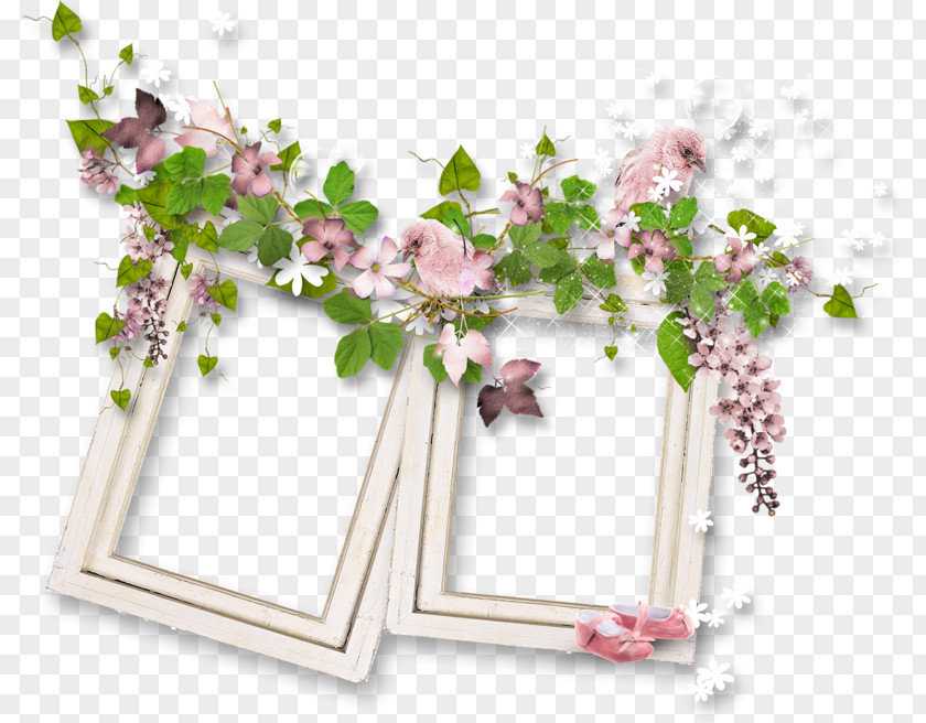 Floral Design Picture Frames Cut Flowers Gift PNG