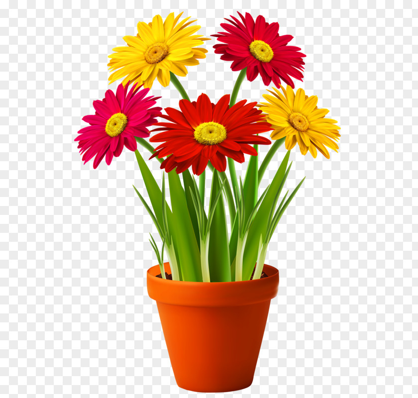 Flower Clip Art Flowerpot Houseplant PNG