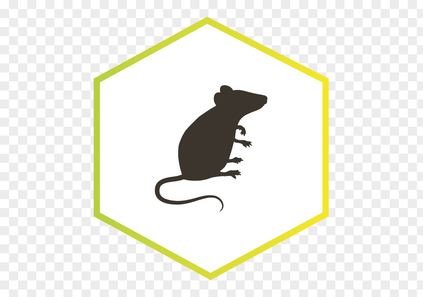 Rat Rodent ネズミ Silhouette PNG
